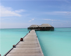 A Maldives Honeymoon class=